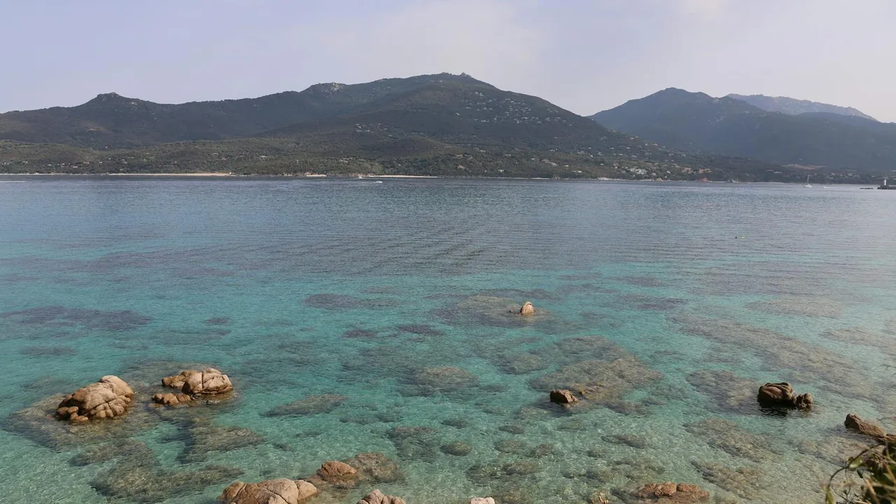 Enfants en colonie de vacances sur une plage de Corse encadres par des animateurs