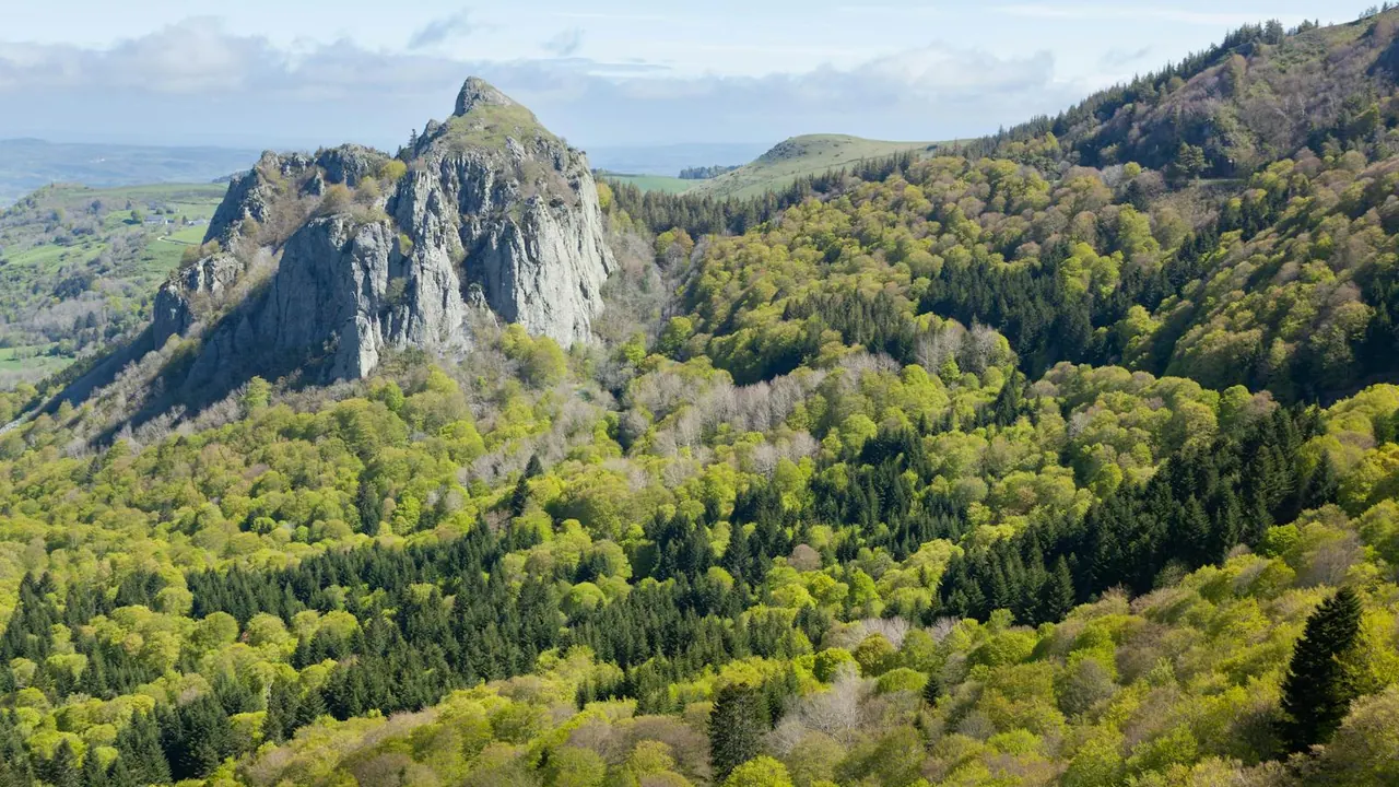 Enfants en colonie de vacances dans la montagne vosgienne du Grand Est