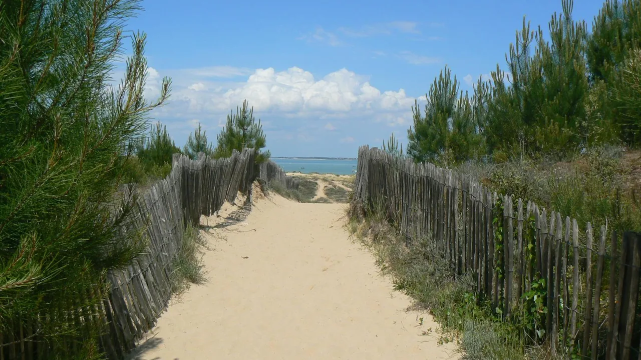 Adolescents en colonie surf sur la cote atlantique de Nouvelle-Aquitaine