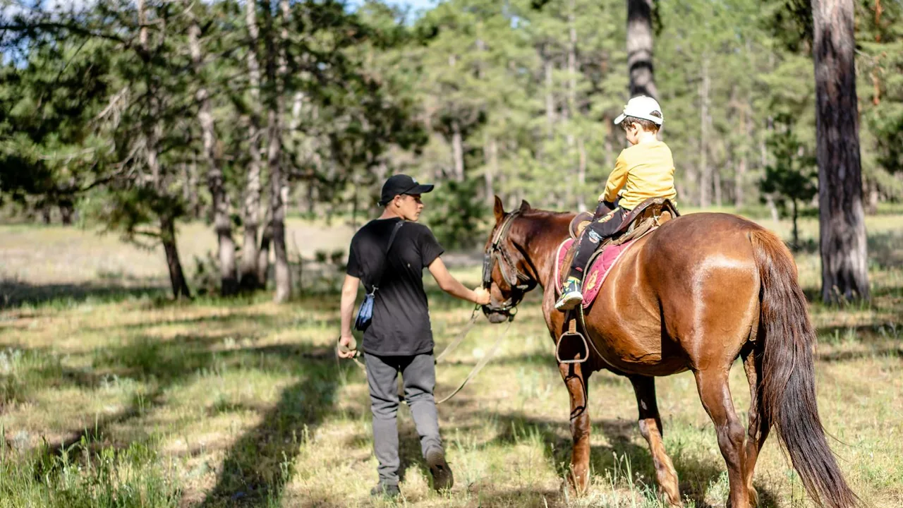 Enfant pansant un poney encadre par un moniteur pendant une colonie équitation