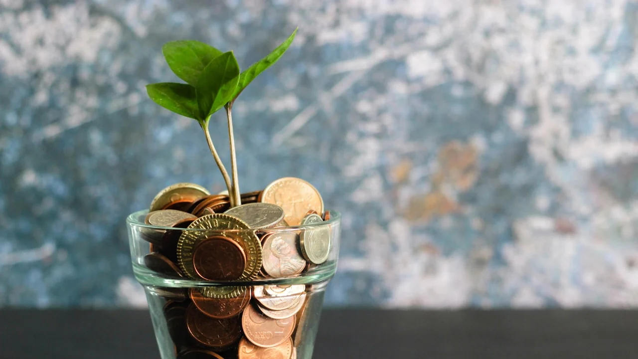 Prix d'une colonie de vacances 2026 : combien et comment payer moins