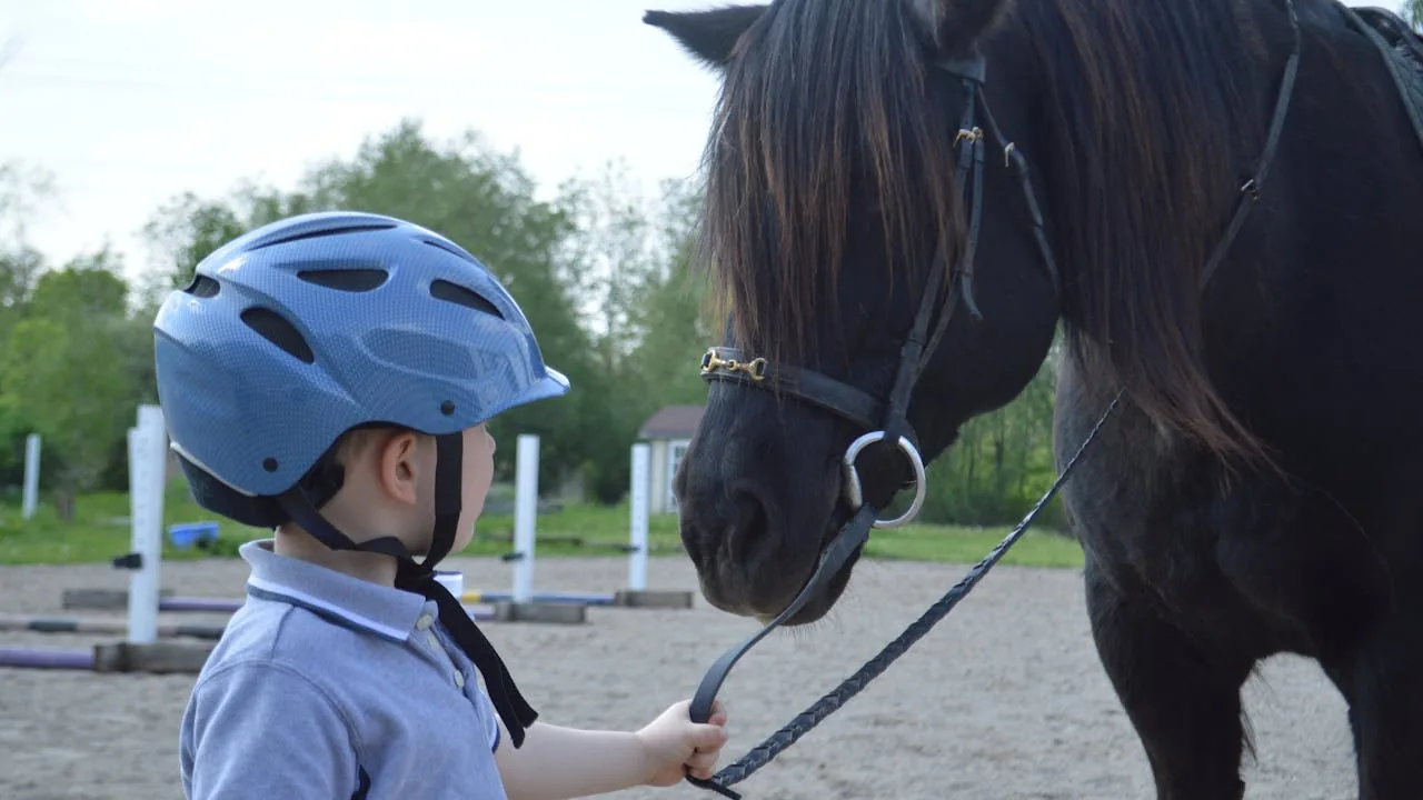 Colonie équitation enfant : poney, cheval, niveaux et sécurité
